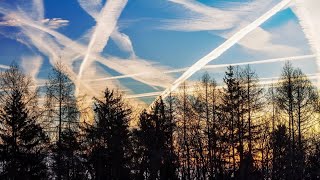 Libres Paroles Chemtrails  Qui nous empoisonne  Dans quels buts  Comment le fontils [upl. by Poirer635]