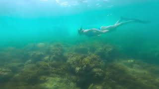 Snorkeling in Puerto Rico 🇵🇷 [upl. by Ahsoj]