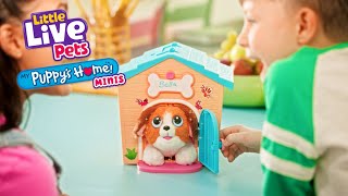 LITTLE LIVE PETS I PUPPYS HOME MINIS TVC I 15 [upl. by Anhsirk]