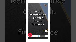 In the remembrance of Allah hearts find peace Islamic Captions For Instagram amp Quotes 2024 [upl. by Santiago]