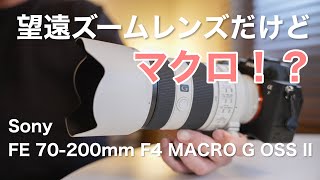 【SEL70200G2 レビューamp作例】ソニーからハーフマクロの望遠ズームレンズでた！1型と画質の比較してみた【FE 70200mm F4 Macro G OSS II】 [upl. by Katheryn]