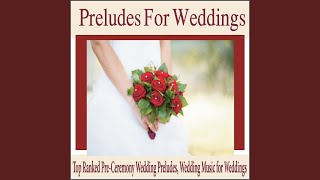 Great Is Thy Faithfulness Wedding Music Version [upl. by Willmert285]