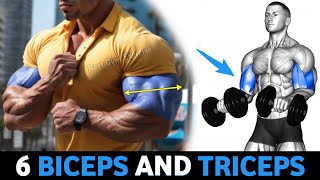 6 Best Arm Exercises for Bigger Biceps and Triceps [upl. by Aihtebat]