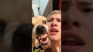 BEATBOXING DOG myfavorite duo loveyall familyvlog [upl. by Wixted689]