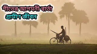 কনকনে শীতে গ্রামের মানুষের জীবন village life in Bangladesh [upl. by Carter]