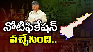 AP Govt Released Notification On New Liquor Policy  PDTV News [upl. by Ianej]