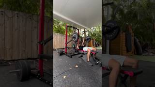 SFJAMMER ARMS by Signature Fitness homegym garagegym weightlifting [upl. by Aicemak]