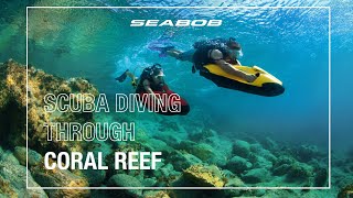 Exploring A Shipwreck and Coral Reef in Aruba  SEABOB [upl. by Grigson781]