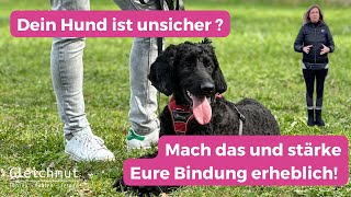 So stärkst Du als Hundehalter die Bindung zu Deinem Hund [upl. by Ursulina455]