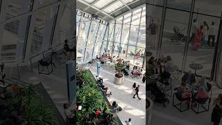 Sky Garden 🪴logs skygarden london uk shorts minivlog towerbridge travel explore ytshorts [upl. by Johnny411]