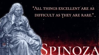 Spinoza  Why We Suffer and What We Can Do About It [upl. by Ongun599]