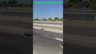 Dubai Broad Bus Stand dubai city busstand people broad spacious youtubeshorts viralshorts [upl. by Ane]