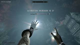 Alteration to Level 100 in NO TIME Very Easy  Magelight Glitch [upl. by Lehacim102]