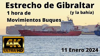 1 Hora Muchas Movimientos de Buques Estrecho Gibraltar 11 Enero 2024 [upl. by Arleen]