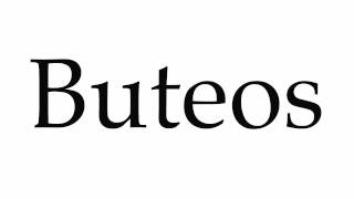 How to Pronounce Buteos [upl. by Phiona]