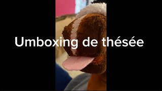 Umboxing de la patate HOT2trot [upl. by Alyakim]