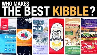 The Pet Food Kibble Review [upl. by Hardej]