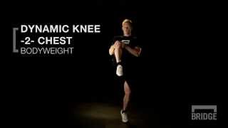 How to Guide Dynamic Knee 2 Chest  BridgeAthletic [upl. by Aihsyn]