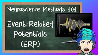 EventRelated Potentials ERP explained  Neuroscience Methods 101 [upl. by Lenox]