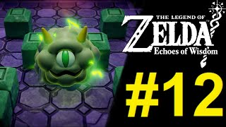 The Legend of Zelda Echoes of Wisdom  El Templo del Este [upl. by Cly528]