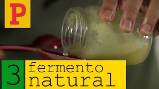 Como fazer fermento natural  Vídeo 3 [upl. by Eve]