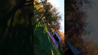 Treestyle Crash  FPV Freestyle djiavata2 drone fpvdrone sky fpv dji nature tree shorts [upl. by Ardella]