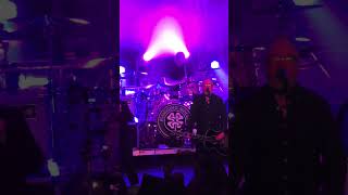 Flogging Molly  Rebels of the Sacred Heart LIVE Clip  Albuquerque New Mexico March 13 2024 [upl. by Esinereb]