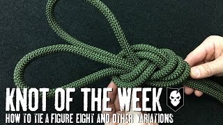 How to Tie a Figure8 Threaded Figure8 and Figure8 on a Bight  ITS Knot of the Week HD [upl. by Anohr661]