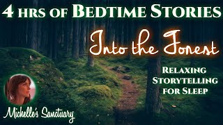 4 HRS Continuous Relaxing Stories for Sleep  INTO THE FOREST  Cozy Bedtime Stories for GrownUps [upl. by Itnaihc]