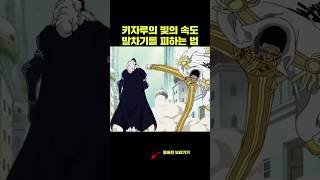 빛의 속도 발차기를 피하는 방법 키자루 물리학 원피스 [upl. by Rehotsirhc]