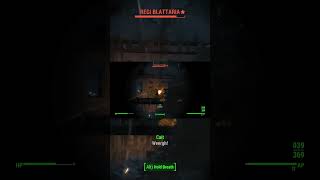 Fallout 4 VS Regi Blattaria Boss Location [upl. by Scotty]