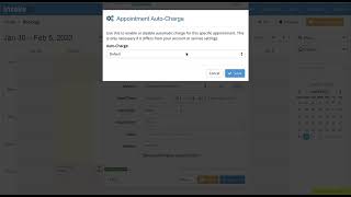 Autocharge setting for individual appointments [upl. by Peterson76]