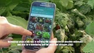 Diagnosis of Plant disease using mobile apps [upl. by Ennaeirb]