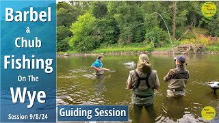 WONDERFUL River Wye BARBEL amp CHUB FISHING  Avon Angling Guiding Session  9824 [upl. by Kimon]