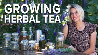 Start an Herbal Tea Garden in Your Yard [upl. by Terrye]