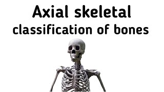 Axial Skeleton and Classification Of Bones [upl. by Adnahsed]