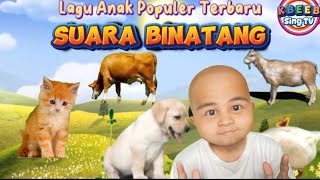 SUARA BINATANG  KBeeb Sing TV original Song kbeeb laguanak suarabinatang [upl. by Vanny803]