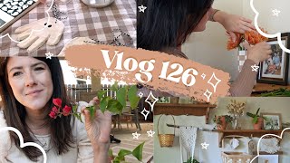 Un automne tout doux  VLOG 126 déco plantes jardin [upl. by Sedgewinn]