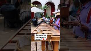 Has escuchado las marimbas en chiapas ♥️ ♥️ [upl. by Calder10]