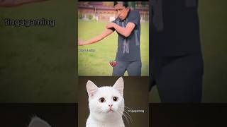 💪🤣 trending memes trollface shorts viralvideos funny youtubeshorts cat fyp [upl. by Zaremski]