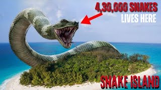 The Snake Island  Most Venomous Snake of World lives here  Complete History Explained in Hindi [upl. by Samp]