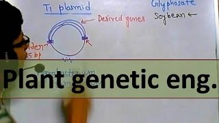 Genetic engineering in plants [upl. by Eldnik]