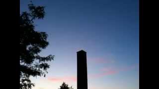 Chimney swifts in Wolfville [upl. by Ennairak]