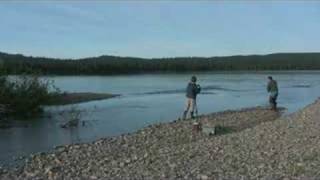 Judd Lake Alaska Sockeye Salmon Fishing [upl. by Regor948]