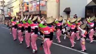 2014 神奈川大和 阿波踊り♫ ガスター連 [upl. by Nuajed998]