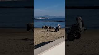 Scauri di Minturno la carrozzella a passeggio sulla spiaggia [upl. by Kalmick665]