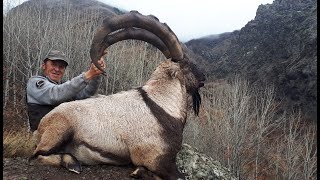 BEZOAR IBEX HUNTING TURKISH FRONTIER amp MUSTAFA YILMAZ [upl. by Nosac]