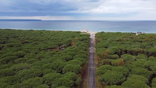 Arborea un pezzo di Veneto nella Sardegna [upl. by Navonoj385]