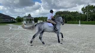 At Home with Glenbeigh Farm  Flatwork Cavalettis  Show Jumping Training Tips [upl. by Ateuqram]