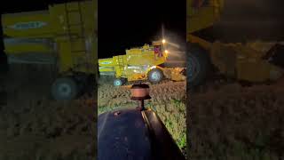 Tractor video कंबाइन से धान की कटाई शुरूshortvideo automobile shortsfeed farming [upl. by Hertberg309]